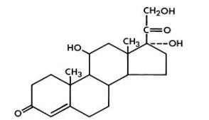 Structural Formula of Hydrocortisone